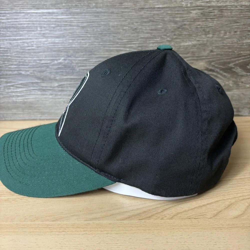 Dayton Dragons Hat Cap Snap Back Black Green MILB Baseball Minor League Mens S/M